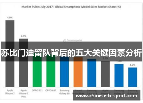 苏比门迪留队背后的五大关键因素分析
