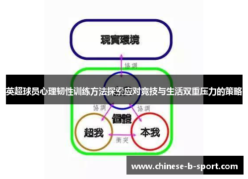 英超球员心理韧性训练方法探索应对竞技与生活双重压力的策略