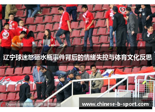 辽宁球迷怒砸水瓶事件背后的情绪失控与体育文化反思